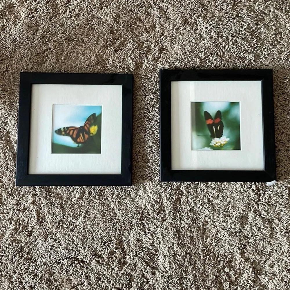 Set of two IKEA framed butterfly prints